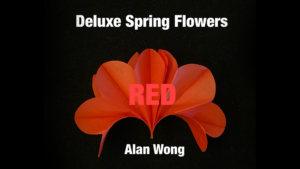Deluxe Spring Flowers RED by Alan Wong Klappblumen Rot 16 Stück mit zwei Haltern