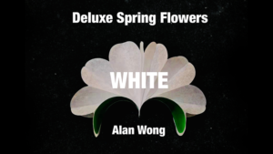 Deluxe Spring Flowers WHITE by Alan Wong Klappblumen weiß 16 Stück plus Halter