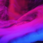 72321-alt5.png