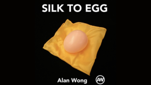 Tuch zu Ei braun Silk To Egg (Brown/with Yellow silk) by Alan Wong