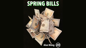 SPRING BILLS USD by Alan Wong Klappgeldscheine 12 Stück US Dollar