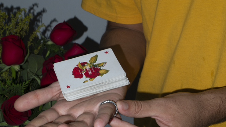 73243-alt5.png 73243-alt5.png