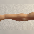 73387-alt1.png