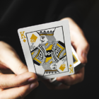 73630-alt5.png
