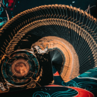 73723-alt3.png
