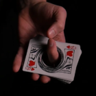 74355-alt2.png
