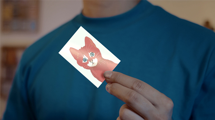 74371-alt2.png 74371-alt2.png