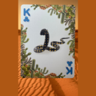 75390-alt1.png