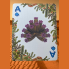 75391-alt4.png