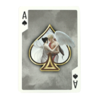 76246-alt1.png