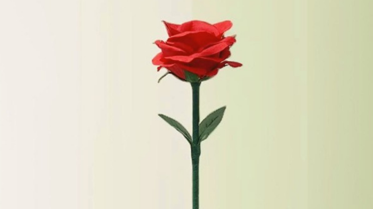 76464-alt3.png 76464-alt3.png