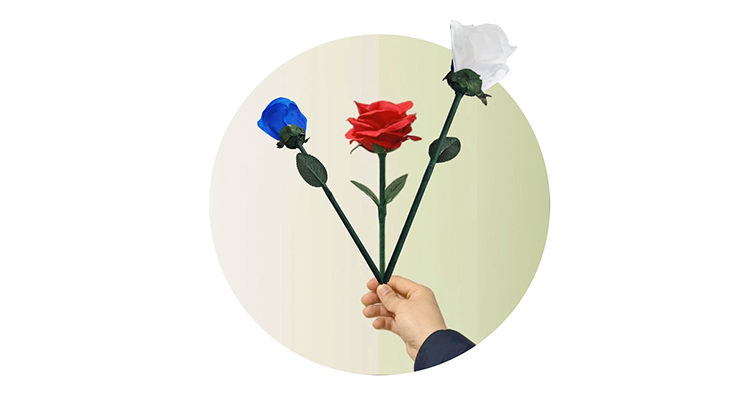 76464-alt4.png 76464-alt4.png