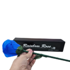 76464-alt5.png