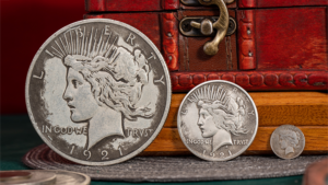 Mini Peace Dollar (Pack of 5 coins) by N2G 5 Mini Peace Münzen 1,6 cm