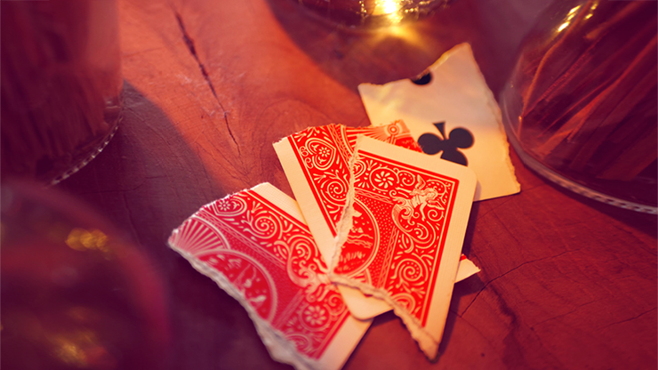 76858-alt3.png 76858-alt3.png