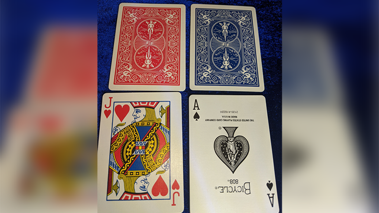 76981-alt1.png 76981-alt1.png