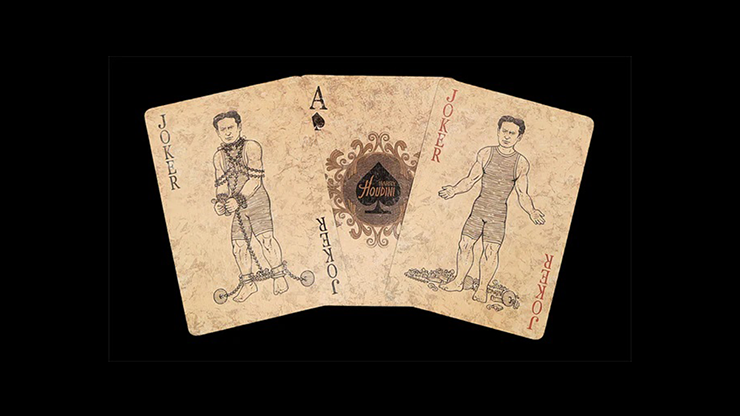 77064-alt3.png 77064-alt3.png