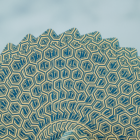 77109-alt2.png