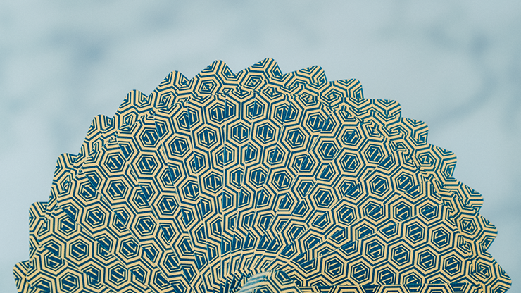 77109-alt2.png 77109-alt2.png