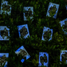 77158-alt2.png