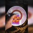 77221-alt5.png