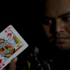 77339-full.png