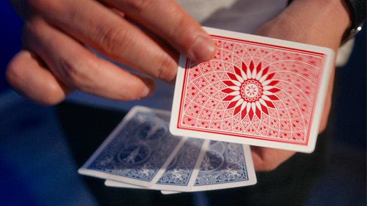 77437-alt4.png 77437-alt4.png