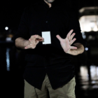 77587-alt2.png