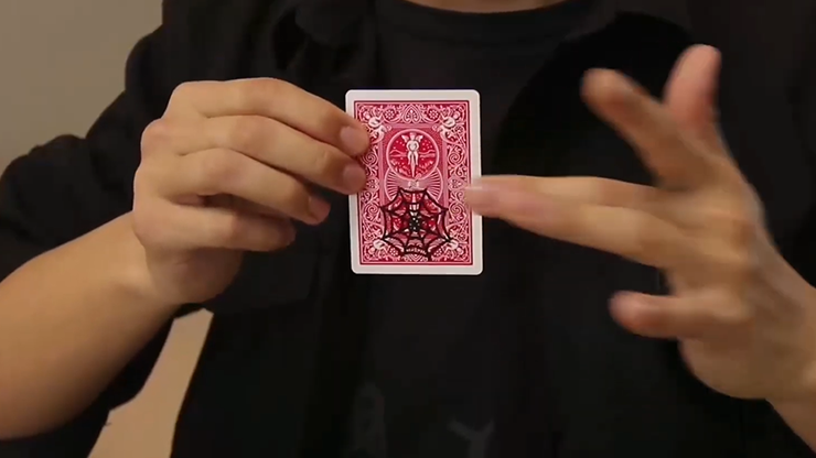 77616-alt2.png 77616-alt2.png