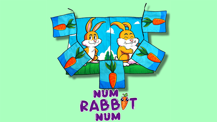 78032-full.png 78032-full.png