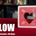 78036-full.png