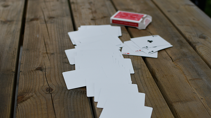 48604-alt1.png 48604-alt1.png