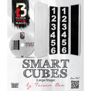 Smart Cubes (Large) by Taiwan Ben - Zaubertrick