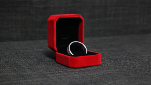 Magnetring 22 mm Edelstahl Neomagnetic Ring (22mm) by Leo Smetsers - Zaubertrick