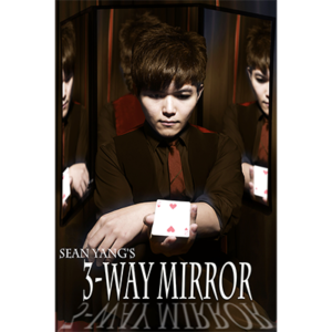 3-Way Mirror by Sean Yang and Magic Soul 3-teiliger Übungsspiegel + Close-up Unterlage