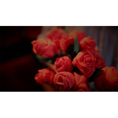 55973-alt2.png 55973-alt2.png
