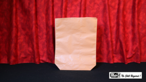Forcierbeutel Austauschbeutel Papier 30 x 23 cm Grocery Pop Change Bag (Large) by Mr. Magic
