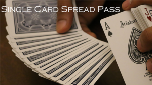 Magic Encarta Presents Single Card Spread Pass by Vivek Singhi video DOWNLOAD Visueller Kartentrick