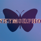 59875-full-1.png