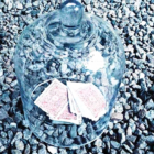 61010-alt2.png