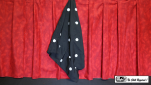 Punktetuch 45 cm Polka Dot Silk (18" x 18") by Mr. Magic