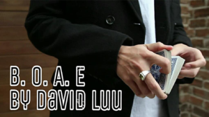 Blink Of An Eye by David Luu video DOWNLOAD Kartenverwandlung, Kartenrestauration