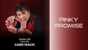 Pinky Promise 1 and 2 by Shin Lim (Single Trick) video DOWNLOAD Unglaublicher Kartenplatztausch