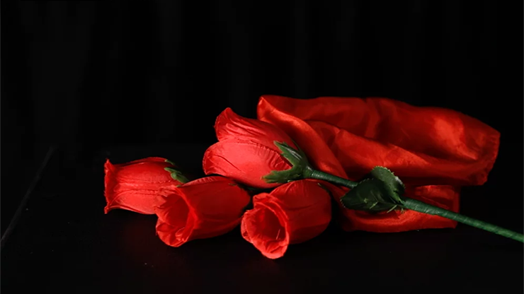 62653-alt2.png 62653-alt2.png