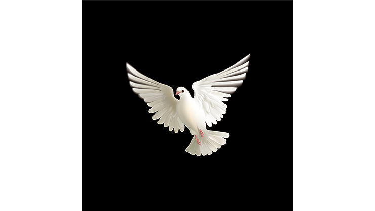 62802-alt2.png 62802-alt2.png