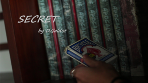 Secret by D.Galdot video DOWNLOAD Zuschauerkarte mit verbundenen Augen finden