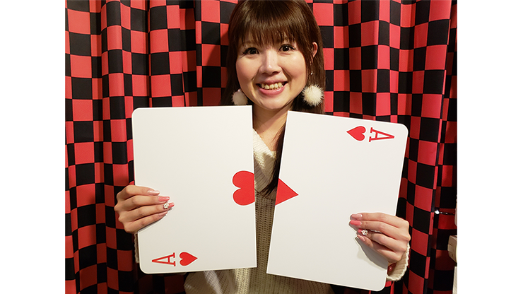 64338-alt1.png 64338-alt1.png