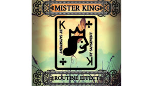 Mister King by SaysevenT video DOWNLOAD Neue Sandwich-Routine