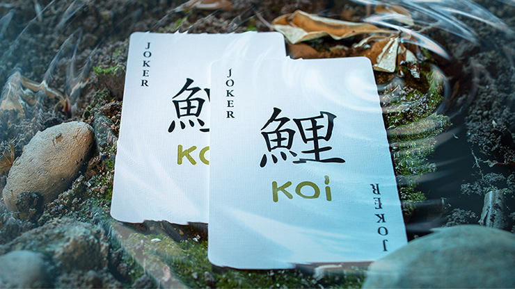 65117-alt2.png 65117-alt2.png