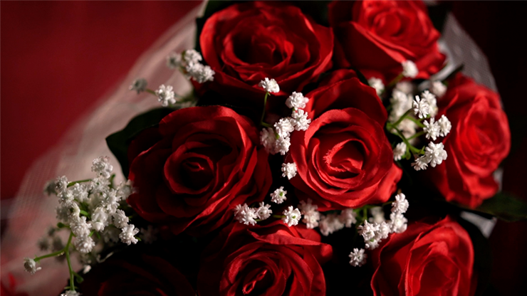 65572-alt2.png 65572-alt2.png